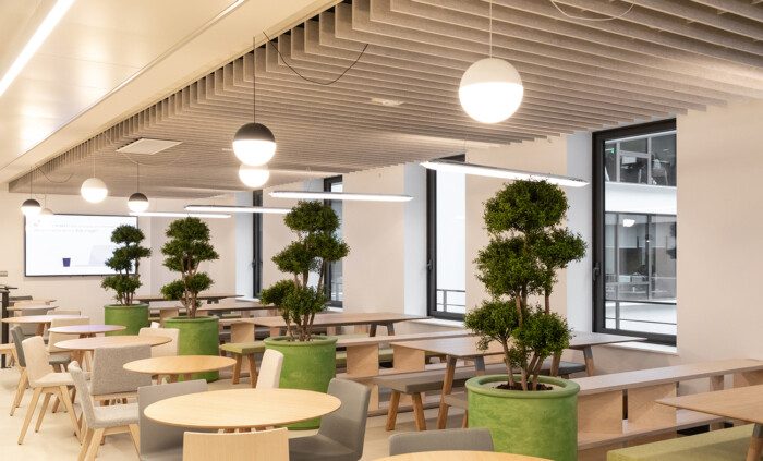 bcdf_studio_gardera_pastre_bureaux-14