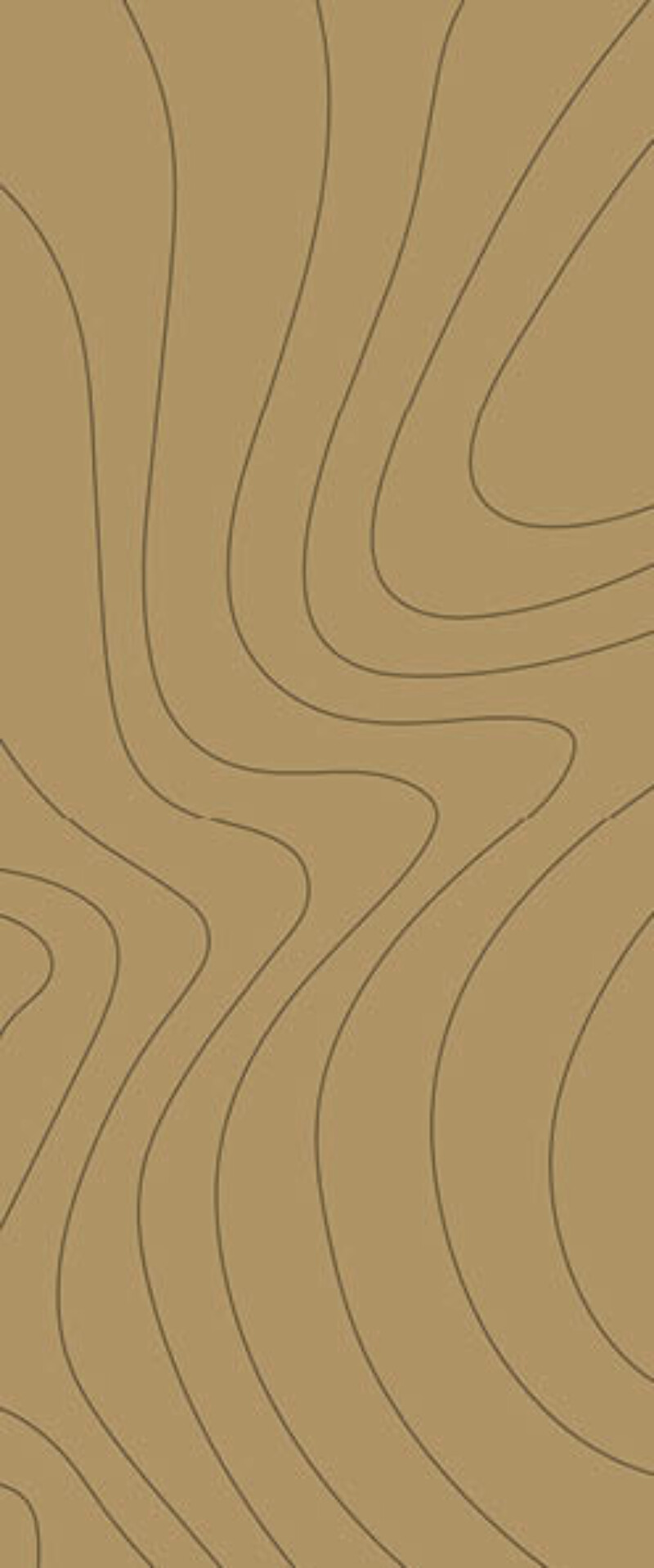 MACAO ONDULATIONS 1 VISUEL 2D 2800.1200