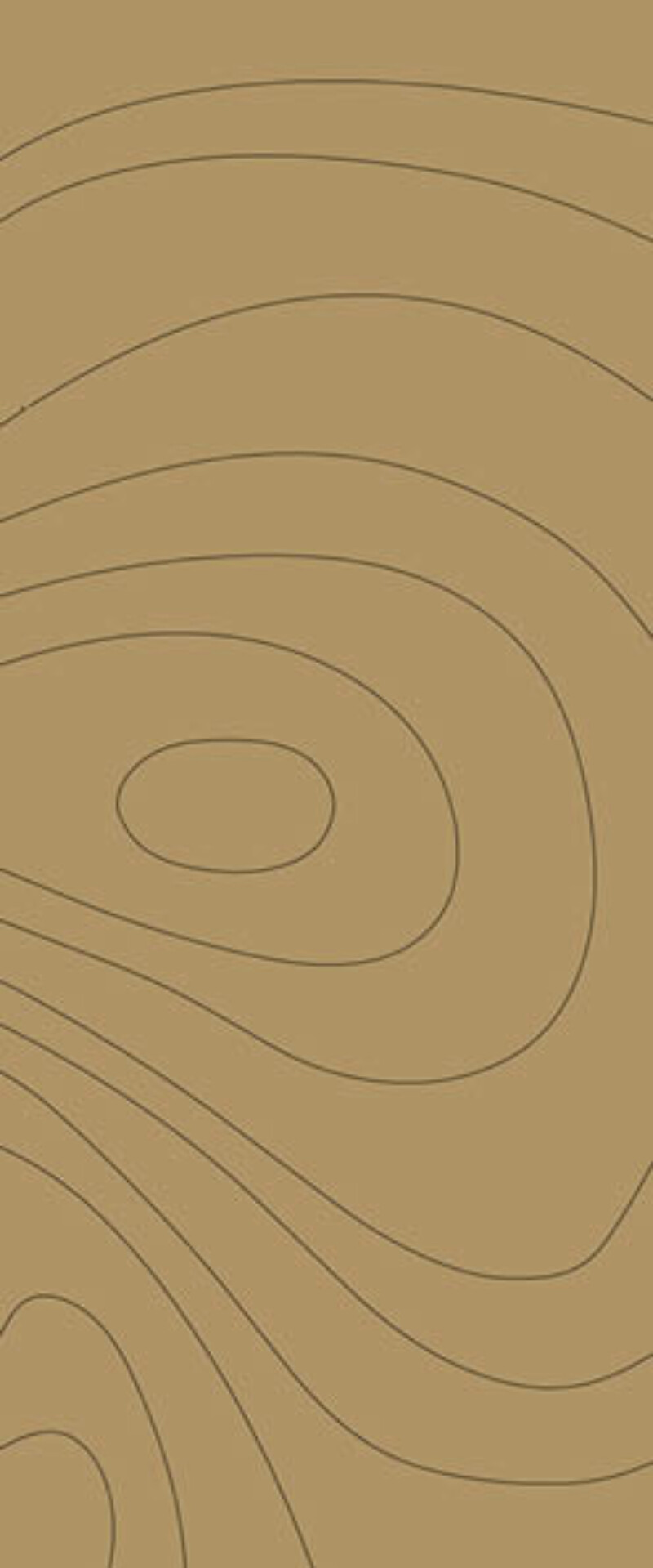 MACAO ONDULATIONS 4 VISUEL 2D 2800.1200